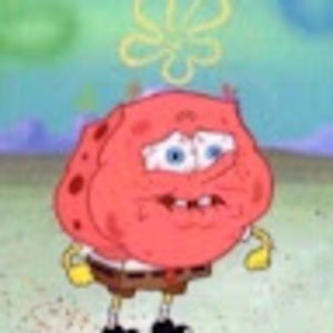 Meet your Posher, Levi